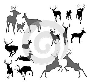 Deer stag fawn and doe silhouettes