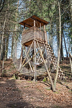 Deer stand made of wood in the woods with ladder, low angle view, forest in the background, vertical shot