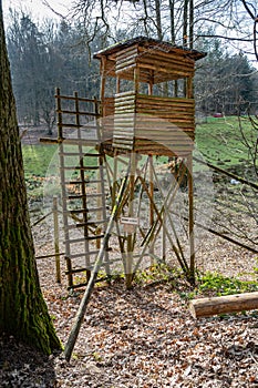 Deer stand made of wood in the woods with ladder, low angle view, forest in the background, vertical shot