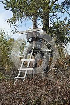 A deer stand in a Minnesota forest