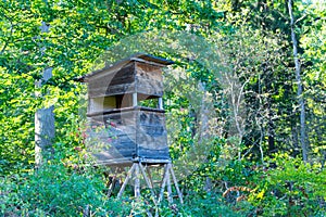 Deer Stand in the natural Reserve Schoenbuch forrest in Germany