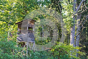Deer Stand in the natural Reserve Schoenbuch forrest in Germany