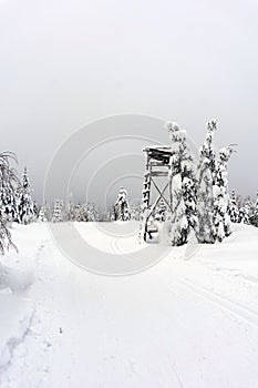 Deer stand - tree stand - lookout tower in mountains
