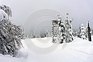 Deer stand - tree stand - lookout tower in mountains