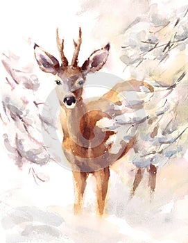 Deer surrounded by snowy branches Watercolor Winter Animal Illustration Hand Painted photo