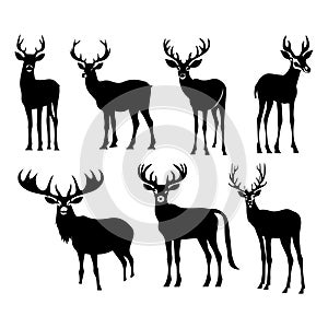 Deer Vector Arts Icon And Illustration
