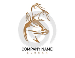 Deer vector design