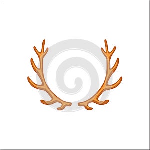 Deer vector horns, deer horny hunting trophy. deers animal horn.