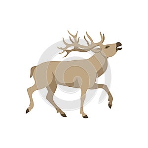 Deer vector illustration flat style profile side