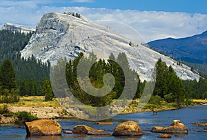 Deer wandering down the river in Tuolumne Meadows photo