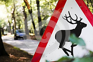 Deer warning road sign countryside uk