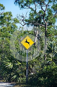 Deer warning sign photo