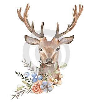 Deer watercolor illustration. Flower composition. Postcard forest animals.