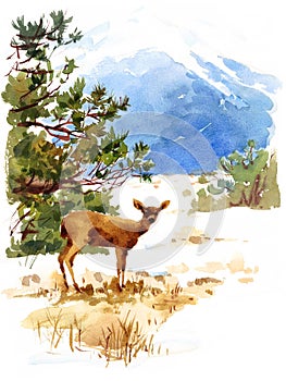 Deer Watercolor Winter Animal Illustration Nature Mountains Hand Painted
