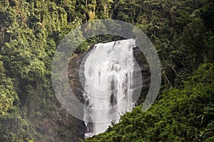Deer Waterfall - Bocaina Range