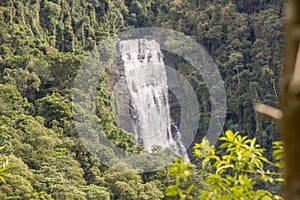 Deer Waterfall - Bocaina Range