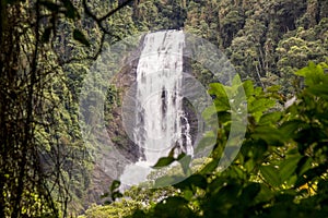 Deer Waterfall - Bocaina Range