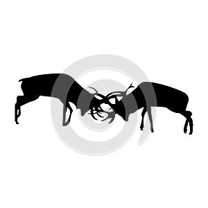 deers fighting black silhouette