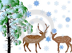 With deers near pine and large blue snowflakes isolated on white