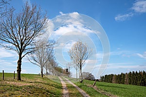 Deerstand, Bergisches Land, Germany