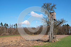 Deerstand, Eifel, Germany
