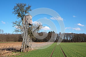 Deerstand, Eifel, Germany