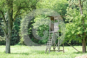 Deerstand overlooking a Field in the Black Forest