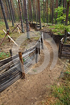 Defensive trench in forest