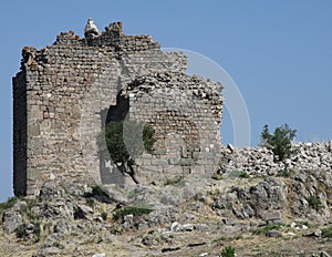 Defensive Wall Acropolis