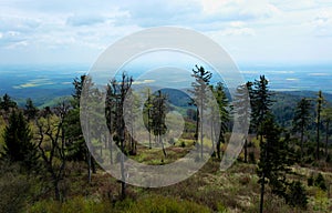 Deficient forest on the top of hill