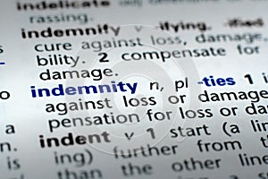 Definition of Indemnity