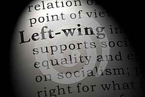 Definition of Left-wing photo