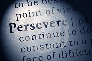 Definition of persevere