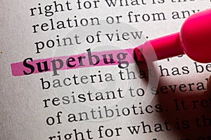 Definition of superbug