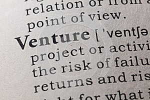 Definition of Venture