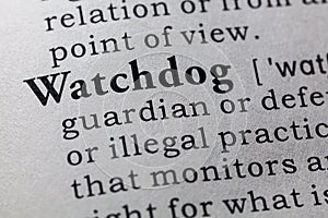 Definition of watchdog