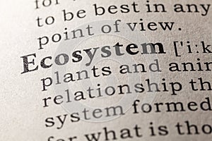 Definition of the word ecosystem