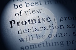 Definition of the word promise