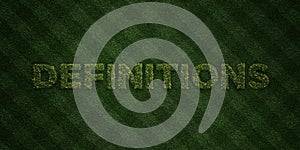 DEFINITIONS - fresh Grass letters with flowers and dandelions - 3D rendered royalty free stock image photo