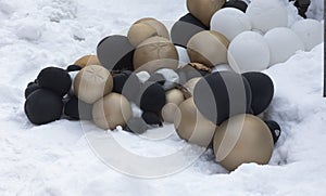 deflated balloons,white and black balloons in snow