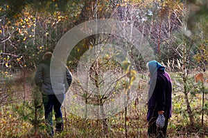 Defocus back and side view of two woman walking in pine forest. Mushroom picking season, leisure and people concept