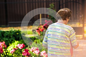 Defocus back view of Grandma trying to use modern smart phone outdoors. Elderly woman holding blank screen cell phone