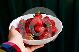 Defocus close-up hand holding white bowl of group of ripe red strawberries on dark green background. Fruits and berries