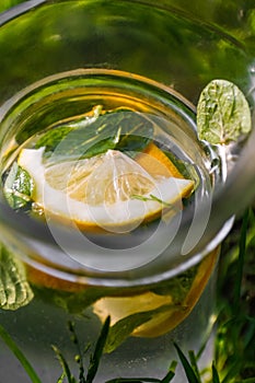 Defocus close-up lemon and leaves of mint in glass jug of lemonade natural green background. Pitcher of cool summer