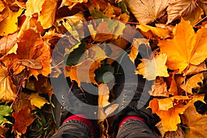 Defocus feet sneakers walking on fall leaves. Outdoor with Autumn season nature on background. Lifestyle Fashion trendy