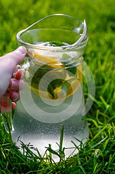 Defocus hand holding glass jug of lemonade with lemon and mint in on natural green background. Pitcher of cold summer