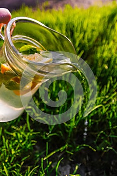 Defocus hand holding glass jug of lemonade with lemon and mint in on natural green background. Pitcher of cool summer