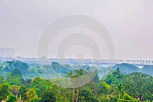 Defocus or out of focus the road builds above the forest amidst rain and fog in the morning at Hanoi, Vietnam, beautiful nature