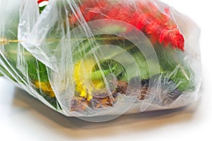 DEFOCUS. Plastic pollution. Red and green plants flowers in a plastic bag on a white background. Ecological problems. Close-up.