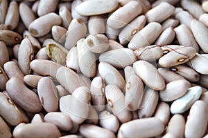 Defocus white beans background. Background of many grains of dried beans. Brown beans texture. Food background